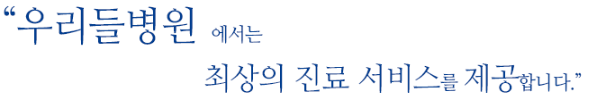 츮麴 ֻ  񽺸 մϴ.